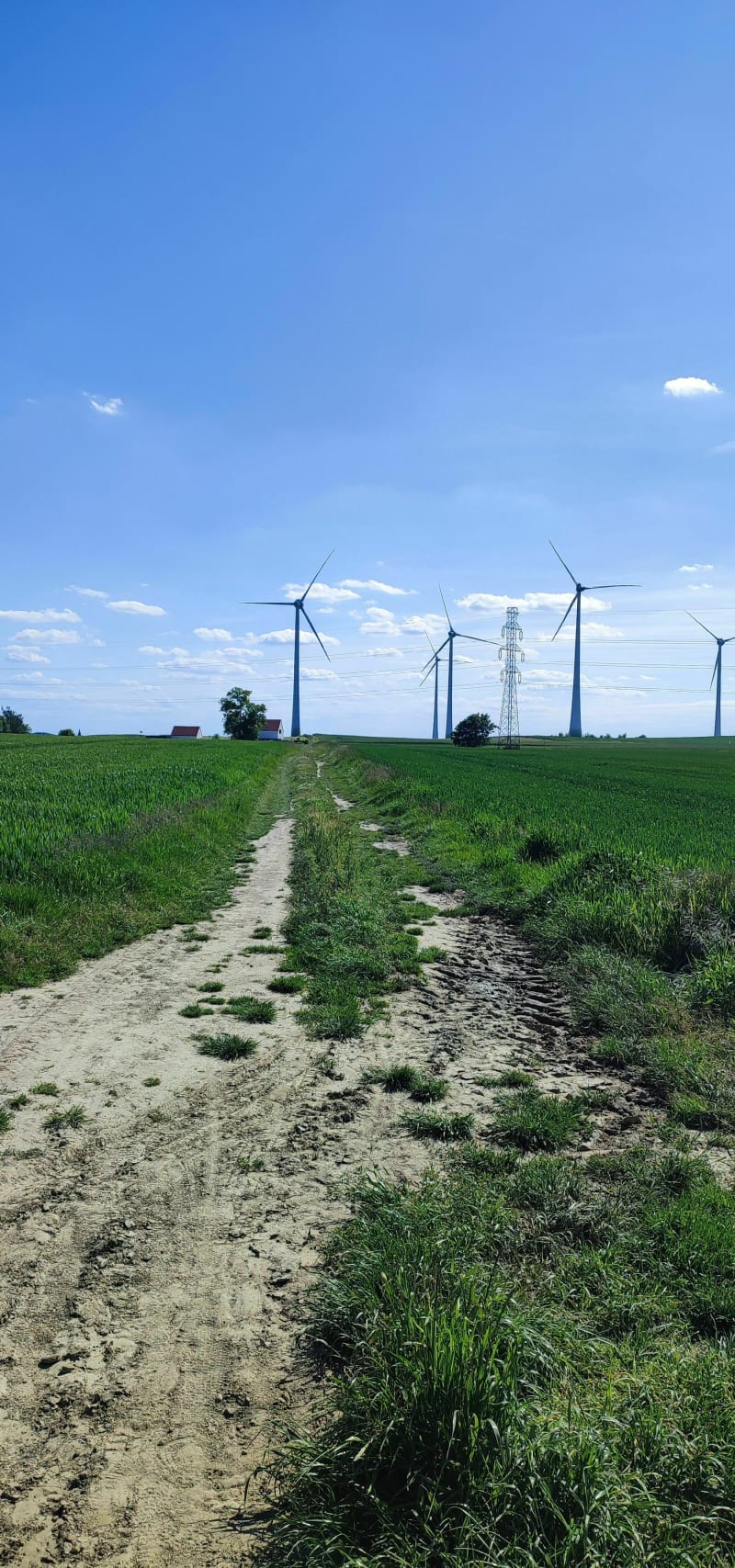 Z widokiem na wiatraki - Oława
