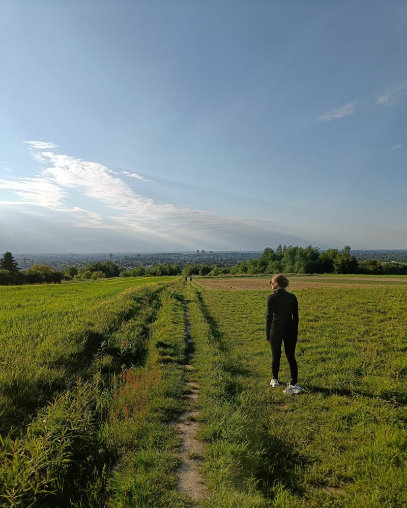 Punkt widokowy, panorama Rzeszowa - Rzeszów