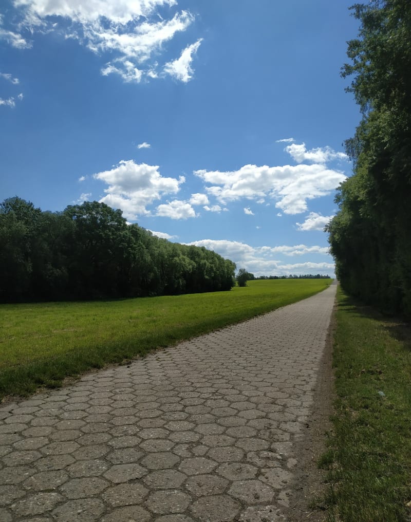 Okolice Lubotynia - Lubotyń