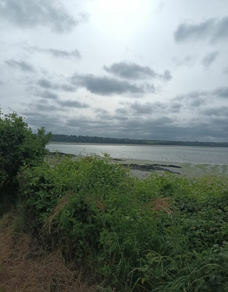 Entre terre et mer à Hillion - Hillion