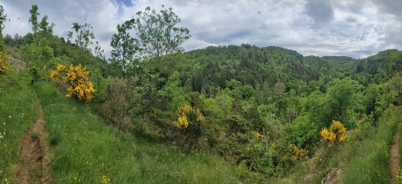 Paysages magnifiques de Cournols aux gorges de la Monne - Cournols