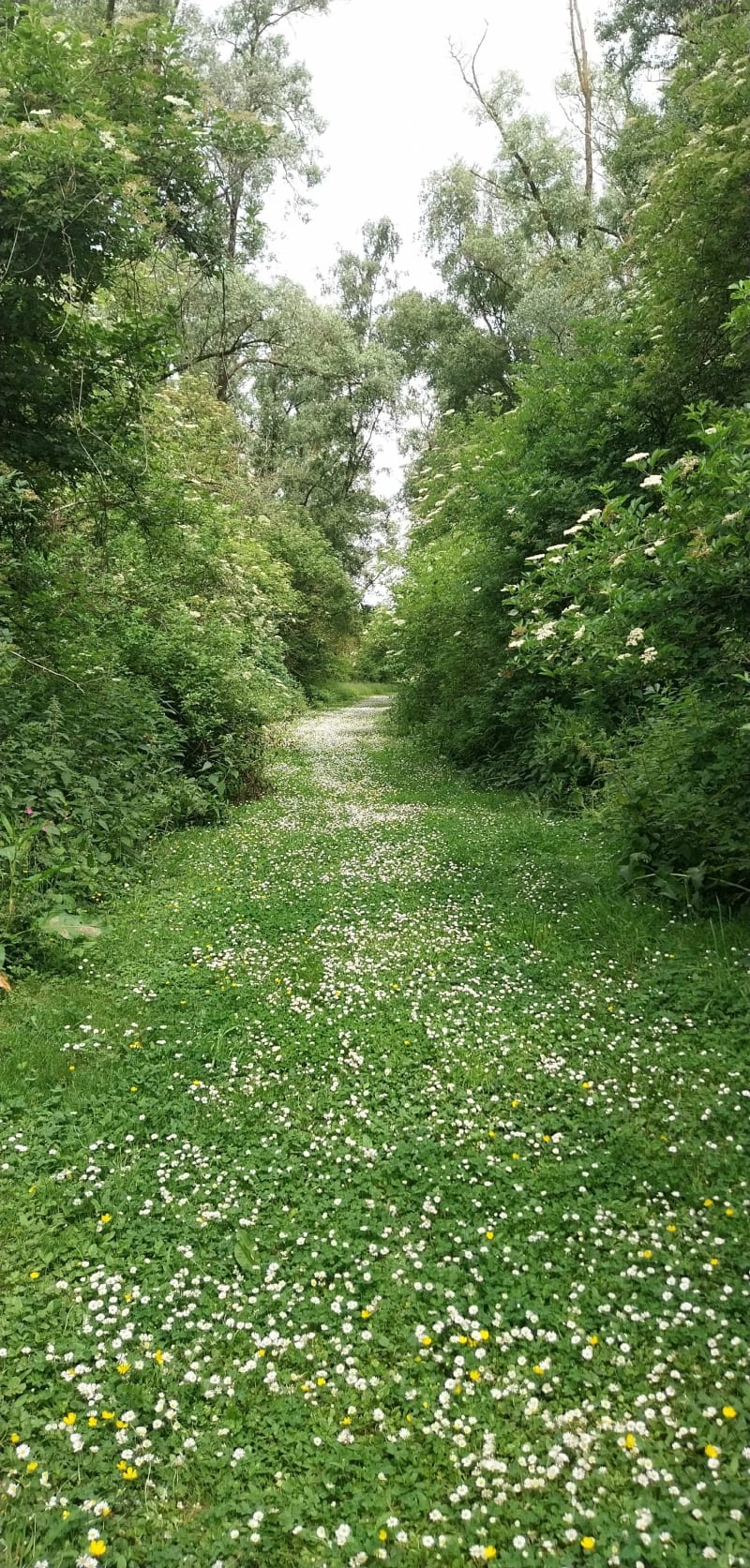 Balade aux étangs de la Louvière – Don - Don