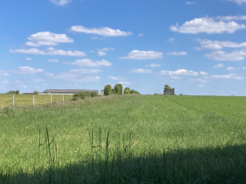 Entre champ et forêt à Ferrière-la-Grande - Ferrière-la-Grande