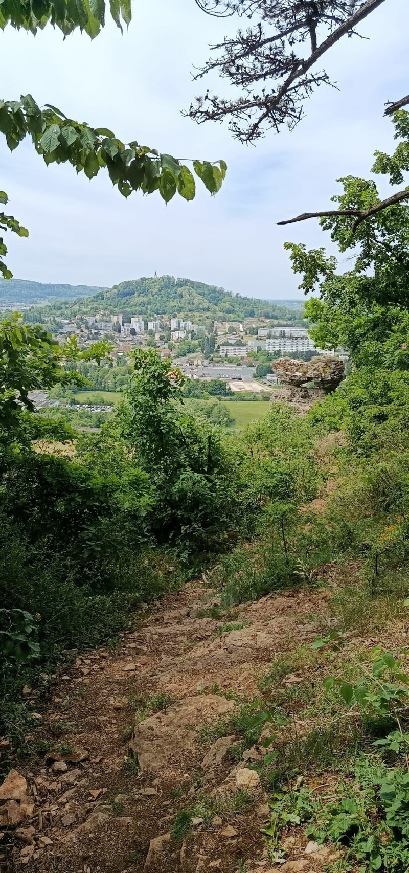 Le Sabot, la Motte et le lac de Vesoul - Vesoul
