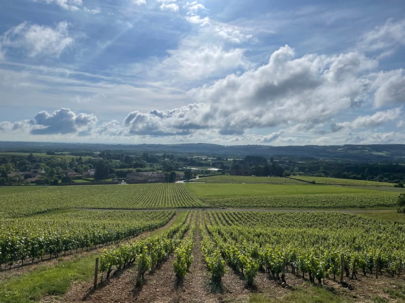 Tour du Beaujolais à VTT - Civrieux-d'Azergues