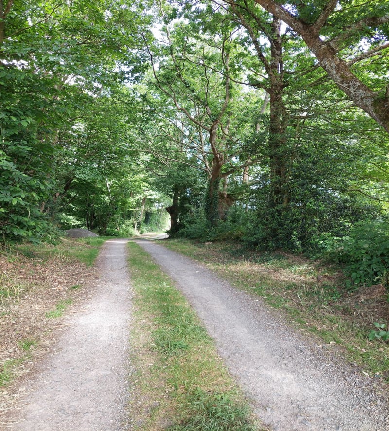 Petite balade à Montbert - Montbert