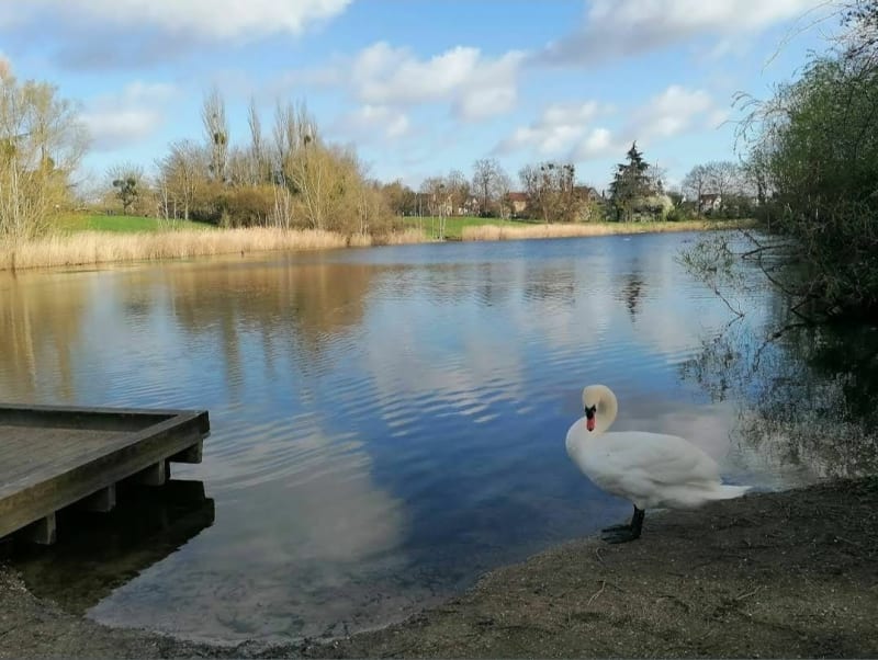 Balade au Bois de Trous - Viry-Châtillon