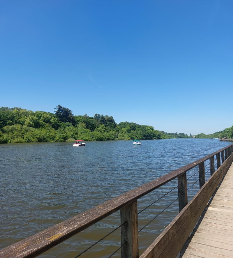 Balade le long de l'Erdre - Nantes