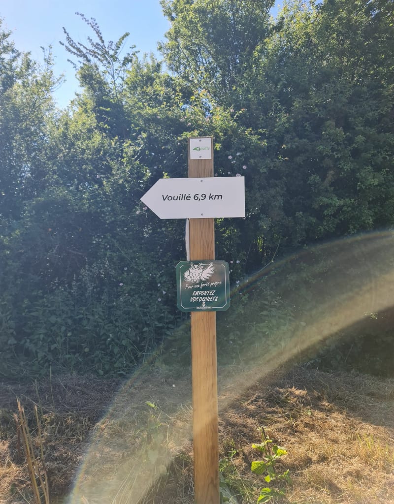 Forêt de Vouillé-Saint-Hilaire - Vouillé