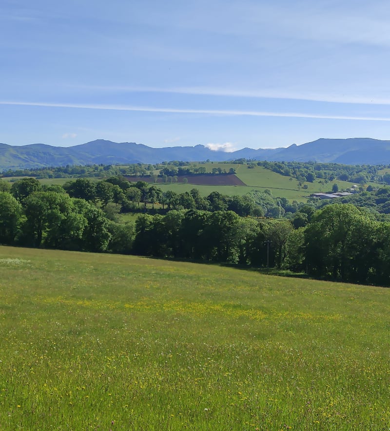 Les balcons de la Jordanne - Aurillac