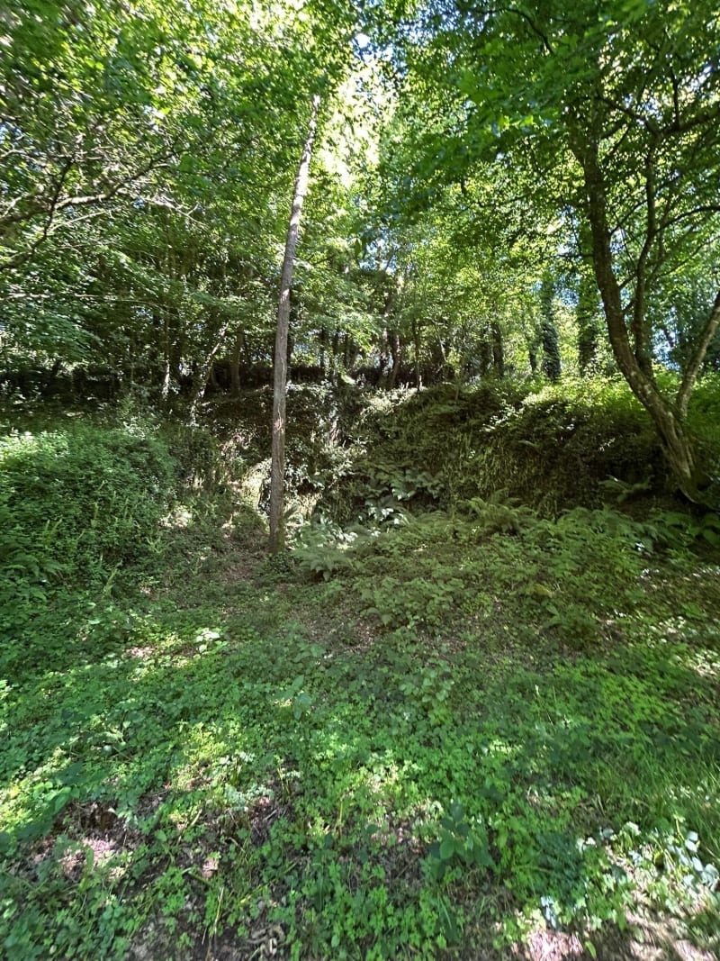 Sainte-Flaive-des-Loups par les bois et les chemins - Sainte-Flaive-des-Loups