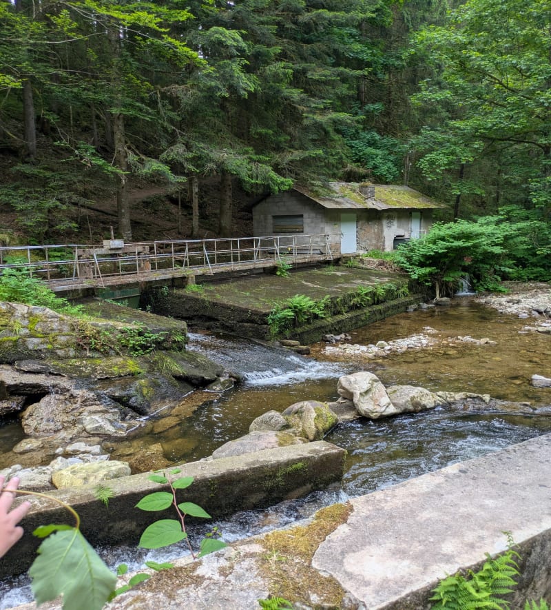 Boucle à Kichompré - Gérardmer