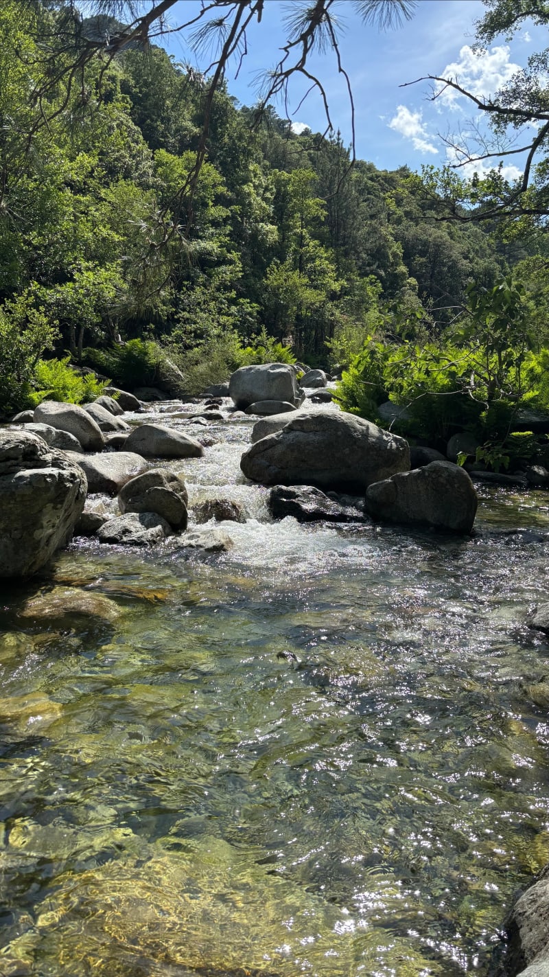 Balade rafraîchissante le long du Tavignano - Corte