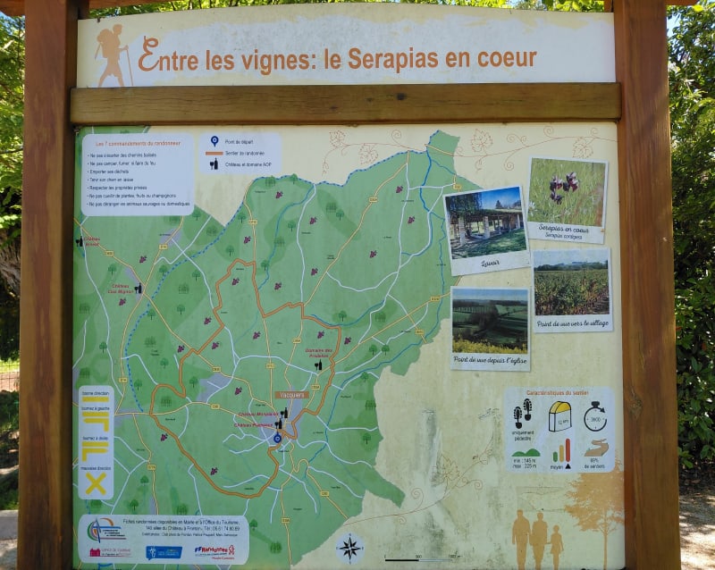 Entre les vignes : le Serapias en coeur - Vacquiers