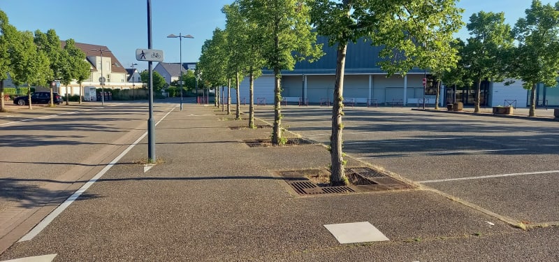Circuit entre routes et chemins - Hœrdt