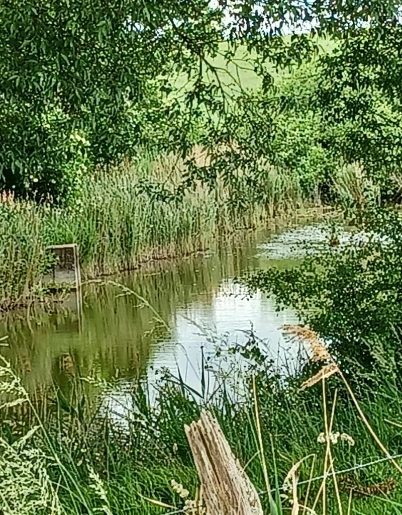 Petit tour en campagne - Braux-Saint-Remy