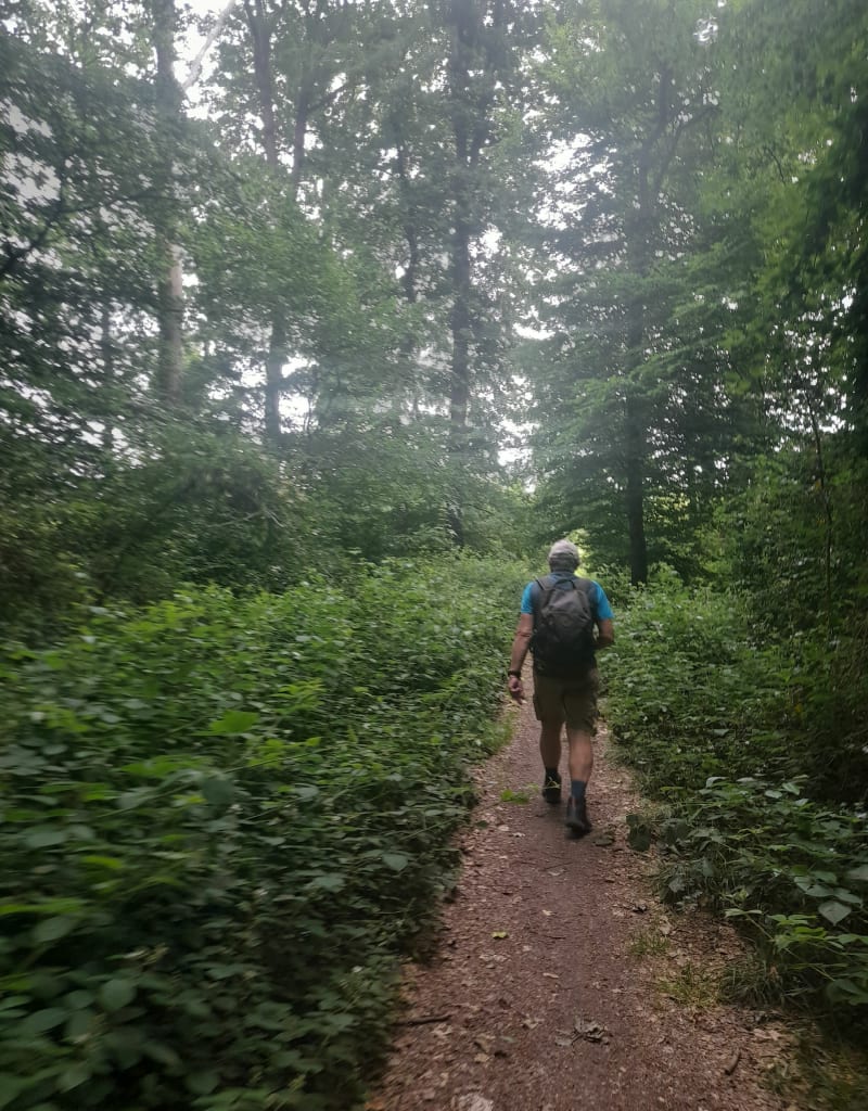 Petite boucle dans le bois du parc avec vue sur Beauvais - Beauvais
