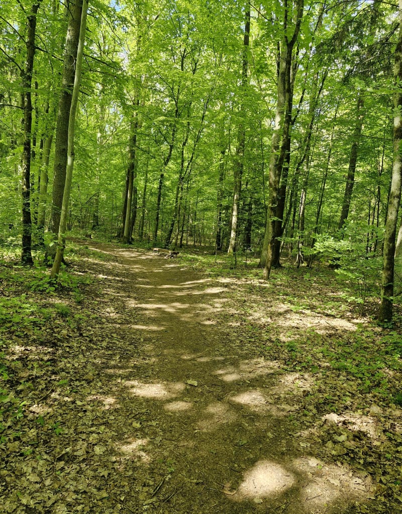 Spacerkiem po Trackiej - Olsztyn