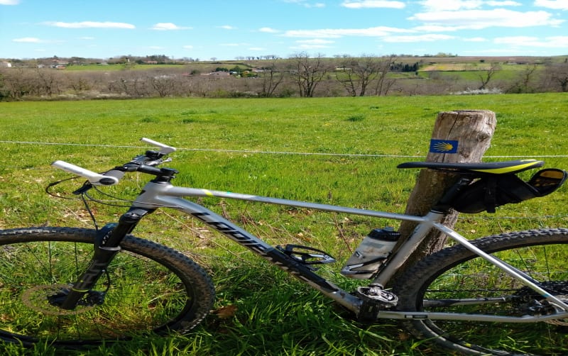 VTT sur les bords du Rhône - Saint-Fons