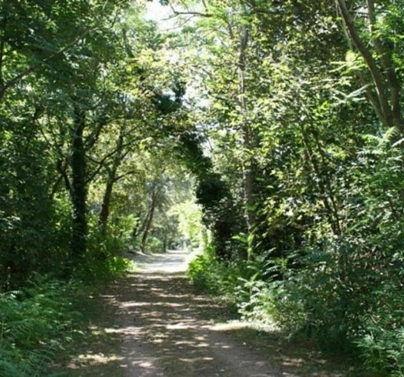 Boucle Longeville, plage et forêt - Loire-Authion