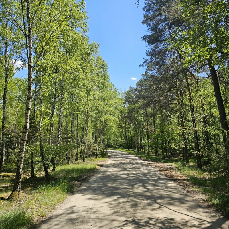 Gostynińsko-Włocławski Park Krajobrazowy - Włocławek