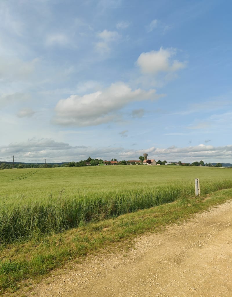 Balade autour de Bissey - Bissey-la-Pierre