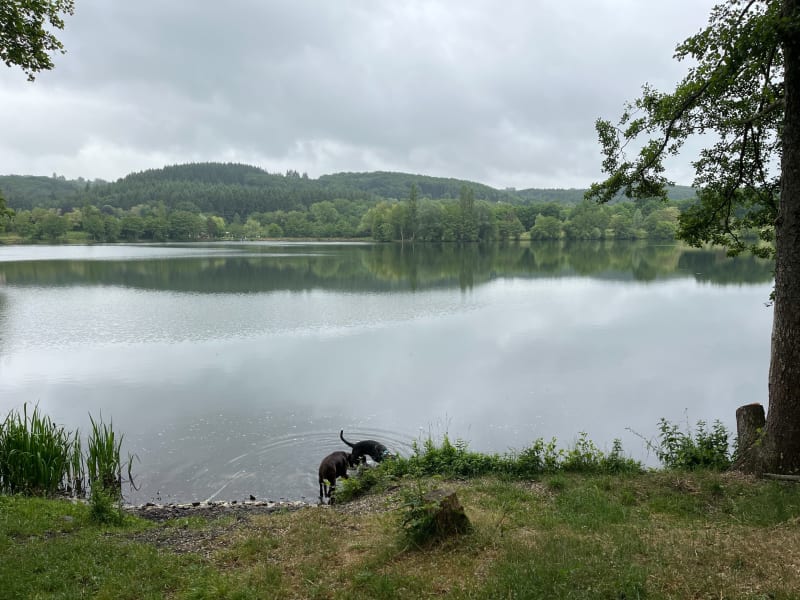 Balade autour du lac de Saint-Éloy-les-Mines - Saint-Éloy-les-Mines