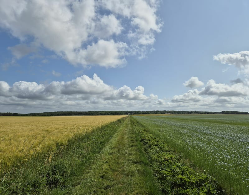 Entre champs et forêt autour de La Vacherie - La Vacherie