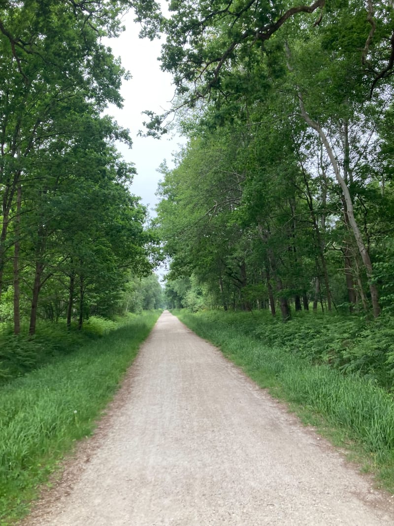 Petite randonnée dans la forêt Notre-Dame - Santeny
