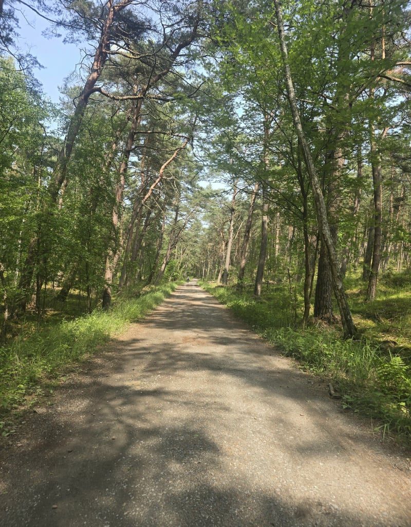 Trasa do granicy z Rosją - Krynica Morska