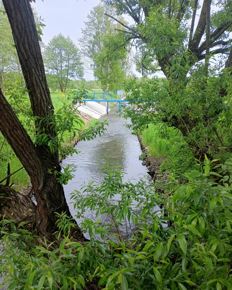 Strzeszkowice Duże - Strzeszkowice Duże