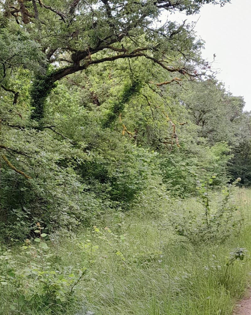 Balade autour de Buno-Bonnevaux - Buno-Bonnevaux