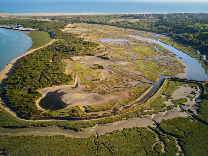 La baie de Sallenelles - Sallenelles