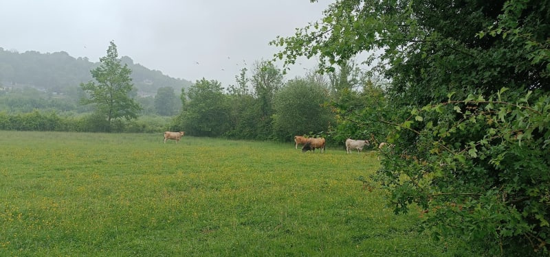 Fontenoy en Picardie - Osly-Courtil