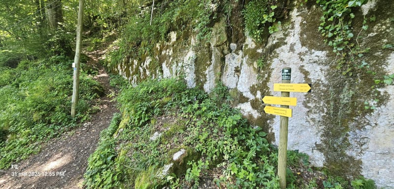 Lavelanet  sentier pédestre - Lavelanet
