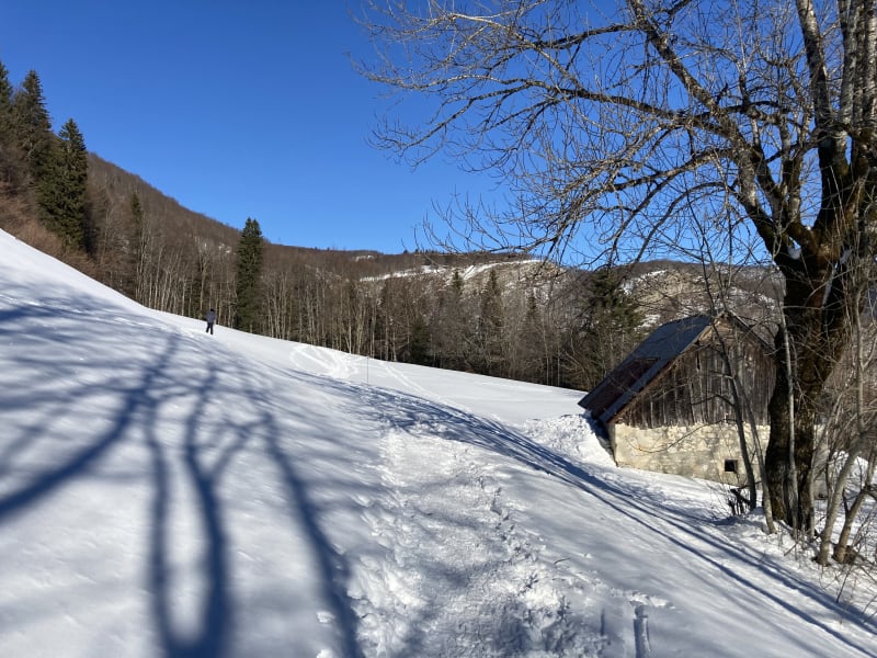 Circuit du Grand Carroz - Itinéraire hiver - Entremont-le-Vieux