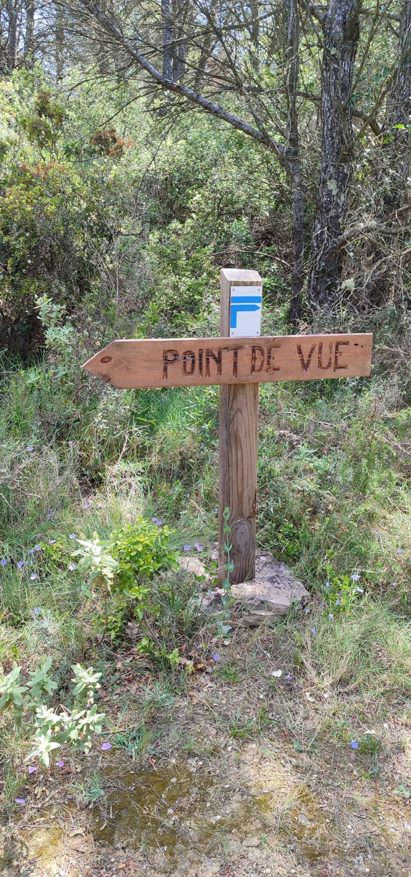 Serre d'Oupias, la Mata Doça et Mont Ségonne - Oupia