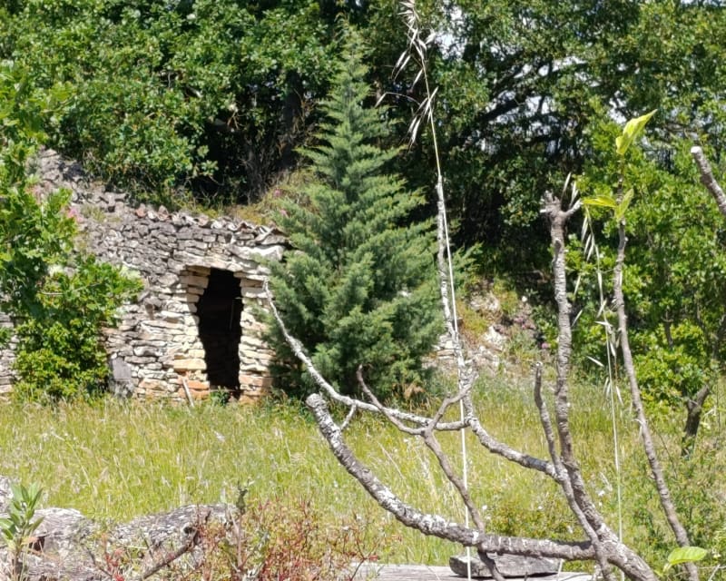 Les capitelles prés de Hérépian - Villemagne-l'Argentière