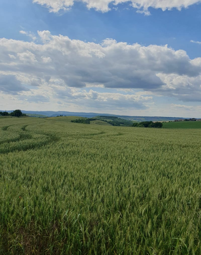 Balade de Magot - Saint-Marcel-Campes