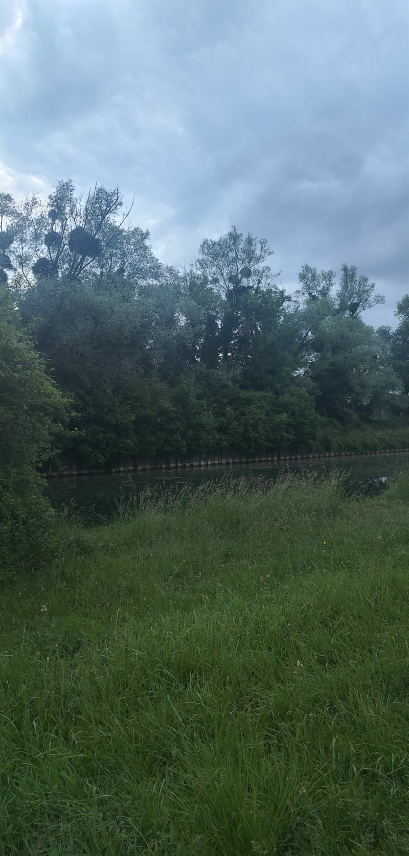 Balade bord de Marne et canal, par Rouazes - Mareuil-lès-Meaux