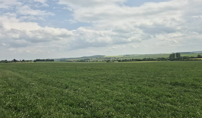 Boucle à Courcelles sur Nied - Courcelles-sur-Nied