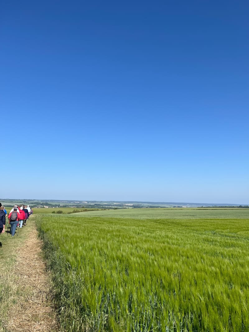 Marche gourmande de Lindry (89) - Lindry