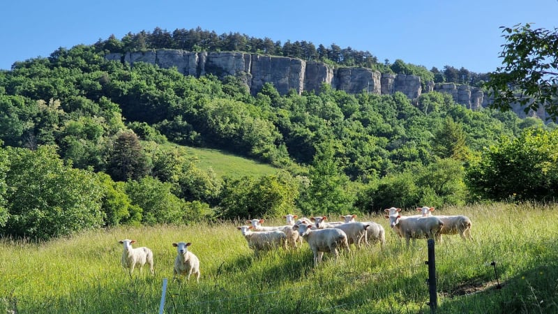 Boucle par la Cascade du Cul de Menevault - Cormot-Vauchignon