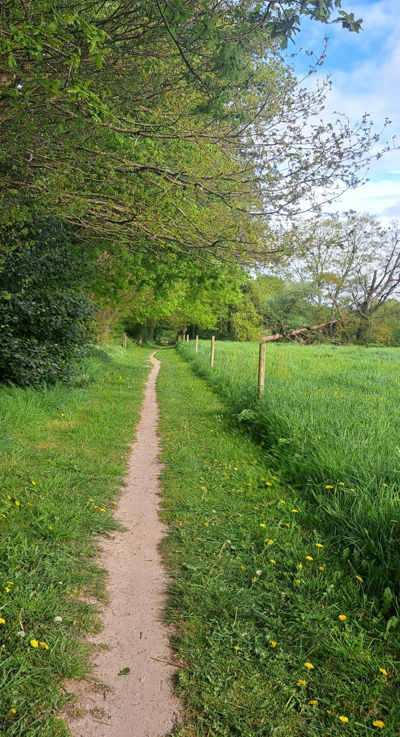Boucle entre campagne et forêt à Péaule - Péaule