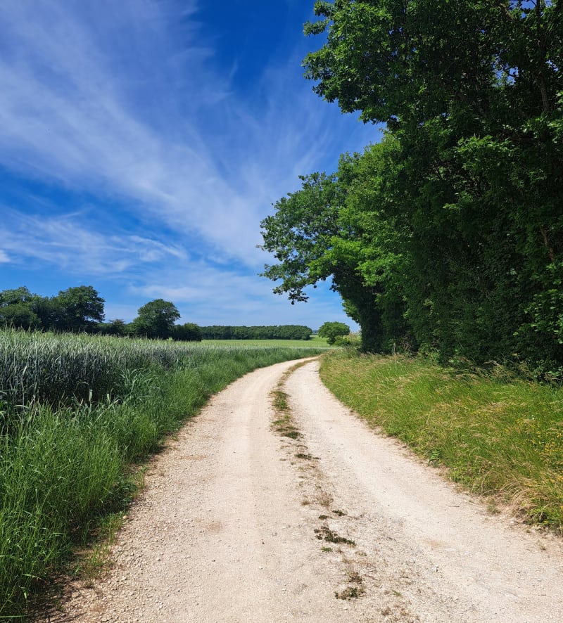 Balade autour de Saint-Romain - Val-d'Auge
