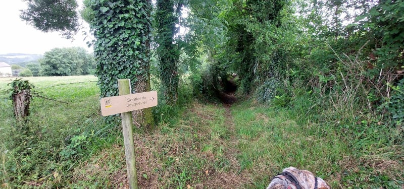 Sentier de Jouqueviel - Jouqueviel