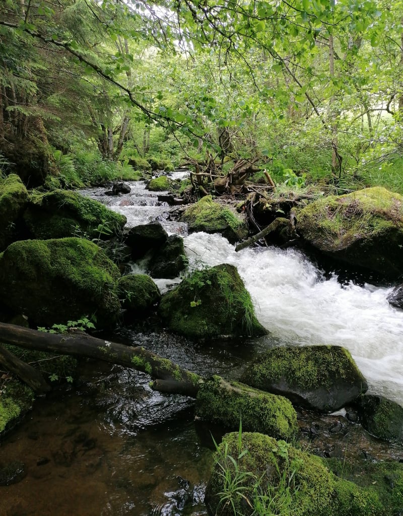 Fontaine Goyon - Besse-et-Saint-Anastaise