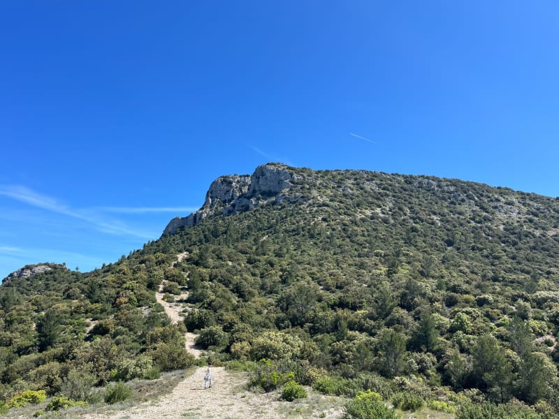 Mont Olympe : vue sur la Sainte-Victoire et la Sainte-Beaume - Trets