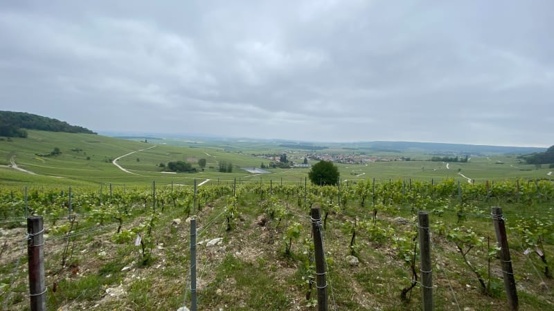 Chamery-Ecueil - Chamery