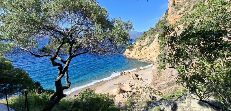 We Piana a la plage - Piana